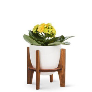 Support à plantes en bois au design moderne, finition marron, robuste, pour intérieur et extérieur, porte-pot de fleurs en bois pour le coin du salon - Product Image 6