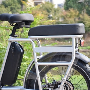 RaiderRunner-34F le <span class=keywords><strong>meilleur</strong></span> vélo Cargo électrique 20 pouces 750W 48V vélo électrique à gros pneus, vélo de ville électrique pour les familles - Product Image 3