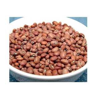 Mijo Marrón Orgánico Premium Rico en Proteínas 100% Natural TRANSOCEANICAL IMPEX Empaquetado a Granel India - Product Image 1