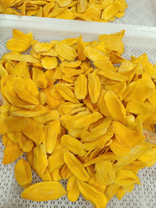 Assortiment de fruits secs mixtes OEM, emballés sous vide, assortiment tropical, mangue, jackfruit, banane, fruit du dragon, Vietnam - Product Image 5