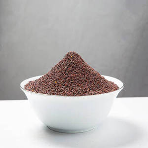 Graines de moutarde noire de qualité supérieure - Séchées du Gujarat - Achetez du brun - Product Image 1