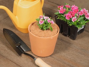 MÁS VENDIDO |   Manta de Fibra de Coco para Control de Malezas y Retención de Humedad Blue Lotus Farm, Anillo para Árboles, 2-3 Años, Jardín y Hogar - Product Image 2