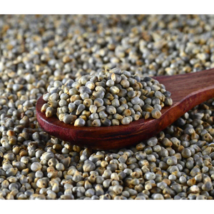 Millet biologique de qualité supérieure, sans gluten, céréales de haute qualité pour une cuisine saine - Product Image 1