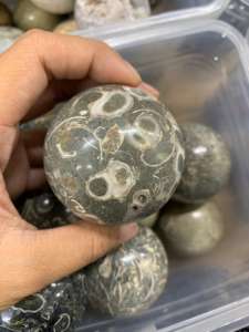Esfera de Jaspe Turritella Gris Natural, Bola de Piedra Fósil Pulida para Decoración del Hogar, Colección de Cristales y Recuerdo, 3–5 cm - Product Image 4
