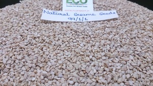 Graines de sésame blanches, naturelles et pures, d'origine indienne, fournisseur en gros - Product Image 3