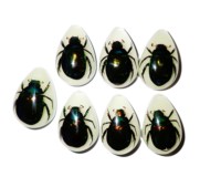Cabochon en plastique en forme de poire, spécimen réel de scarabée coloré, taille 33x22 mm, fond plat, pour artisanat et fabrication de bijoux