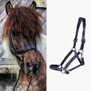 Licol de cheval en cuir de qualité supérieure Meilleur prix Couleur personnalisable Équipement équestre noir pour votre compagnon équin - Product Image 1