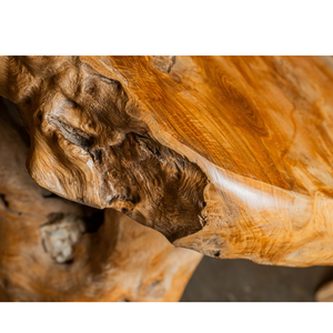 Mesa de Centro de Madera de Teca Natural Rústica Premium, Hecha a Mano, Artesanal, Antigua, Duradera, Orgánica, para Sala de Estar, Muebles para el Hogar de Lujo ARTERRA - Product Image 6