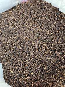 Clavos secos de alta calidad de Vietnam: fragancia natural, estándares internacionales de exportación/Sra. Lima - Product Image 3