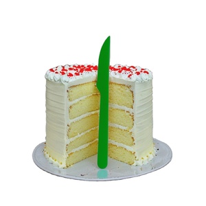 Couteau à papier jetable compostable coloré vert de haute qualité de 155mm pour le service de restauration et les fêtes directement de l'Inde - Product Image 1