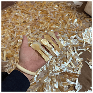 Best price Mother Of Pearl Spoon Handcrafted <b>shell</b> spoon for coffee tea stirring and restaurant tabletop presentation Vietnam - Product Image 1