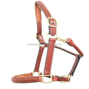 Halter de cheval en cuir rembourré souple à double réglage robuste en tailles d'épi complètes avec matériel en laiton massif licou de course de chevaux - Product Image 3
