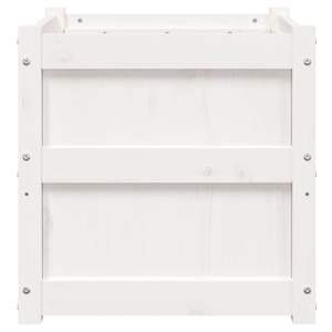 Jardinière en bois de pin massif blanc 19,7x19,7x19,7 po Pots et jardinières à fleurs - Product Image 5