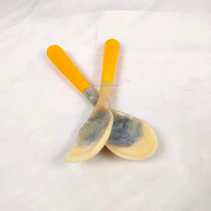 Ensemble de cuillères en résine artisanale indienne, nouvelle couleur personnalisée, best-seller - prix bas - Product Image 1