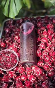 Fleurs d'hibiscus séchées du Vietnam, ingrédient naturel pour thé et boissons à base d'hibiscus, fournisseur en gros - Mme Grace - Product Image 2