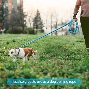 Línea de Entrenamiento para Caballos de Alta Calidad, Disponible en Varios Colores a Bajo Precio, Fabricada en Kanpur, India, Directamente de Fábrica - Product Image 4