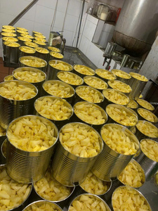 Trozos de Piña de Vietnam A10 (1840g) - Product Image 3