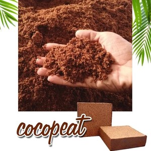 USA Canada Wholesale Bulk High Quality Eco-Friendly Coconut <b>Coir</b> <b>Blocks</b> for Planting and Garden Use Jucor - Product Image 1