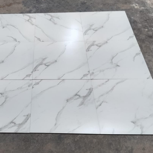 600x600mm Digitally Printed Ceramic Floor <b>Tiles</b> Matt Surface White Color Modern Villa Use - Product Image 4