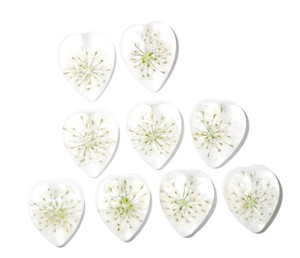 White Laceflower Real Specimen Plastic Cabochon Heart 17x21 mm Clear Flat Bottom <b>for</b> Crafts and Jewelry Making - Product Image 1