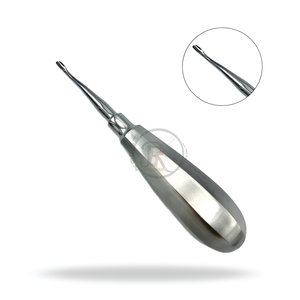 Élévateur manuel dentaire vétérinaire en acier inoxydable de 3 mm à pointe ailée, avec poignée standard courbée, pour l'élévation des luxations chez les petits animaux - Product Image 2