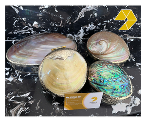 <b>Abalone</b> <b>Shell</b> Jewelry Organizer Luxury Mother Of Pearl Jewelry Organizer for Ring Necklace Storage Elegant Metal Craft Vietnam - Product Image 1