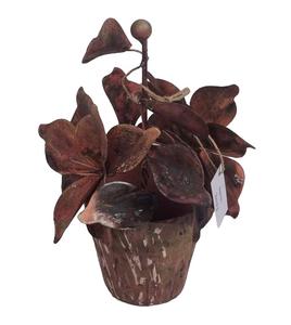 Pot décoratif mural en fer forgé couleur naturelle, fait main, moderne, pour jardin et maison, collection AB - Product Image 6