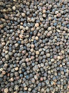 Pimienta Negra Cruda Seca [Keith Vilaconic] 500 G/L Calidad ASTA Premium Estándar Vietnamita Calidad de Exportación Precio Competitivo - Product Image 2