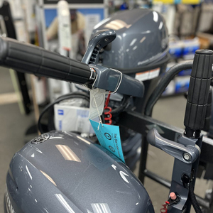 2025 Yama_ha 9.9HP Tiller Handle Outboard - Product Image 1