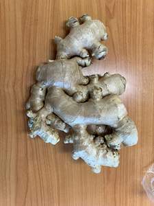 Exportateur de gingembre frais du Vietnam pour les entreprises d'importation alimentaire recherchant des approvisionnements en gingembre en vrac compétitifs en conteneurs - Product Image 6