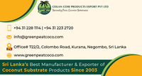Sri Lanka Origin 100% Articles de terrarium écologiques naturels pour coquille de noix de coco Cachant des grottes pour produits pour animaux de compagnie en gros