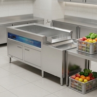 Équipement de cuisine de restaurant certifié CE, utilisations multiples, cycle d'eau, lavage des fruits et légumes