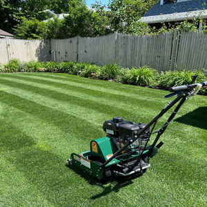 Spindelmäher für die Rasenpflege auf Sportplätzen und Golfplätzen – Präziser Grasschnitt mit Einstellbarer Höhe – Anzahlung ist - Product Image 5