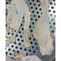 Vente Flash : Peau de Poulet Congelée de Qualité Supérieure, Processus BQF, Grade A, Vente en Gros, Qualité Alimentaire, Stock Prêt, Meilleure Qualité, Exportation