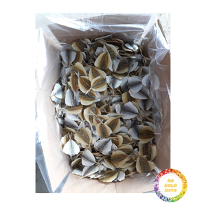 ปลาลายเหลืองคุณภาพสูง อาหารทะเลแห้ง เหมาะสำหรับอาหารแคมป์ปิ้งและสูตรซุปแบบดั้งเดิม นำเข้าจากเวียดนาม - Product Image 6