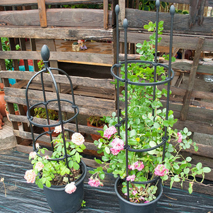 Soporte de Metal para Tomates, Recubierto de Plástico, para Plantas Trepadoras - Product Image 6