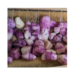 Cubes de pommes de terre violettes surgelées IQF en vrac, légumes surgelés préparés pour soupes, salades et traiteur - Product Image 6