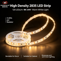 Bande LED flexible haute luminosité DC24V 120LEDs/m SMD2835, température de couleur 3000K-6000K, éclairage paysager à corps en cuivre.