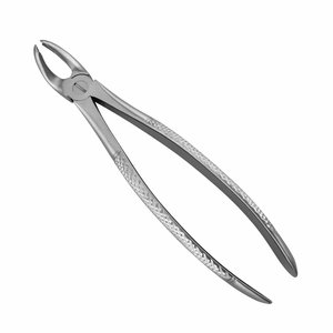 Offre Spéciale : Forceps d'extraction dentaire à motif anglais pour l'élimination des dents, instrument chirurgical en acier inoxydable pour usage professionnel - Product Image 4
