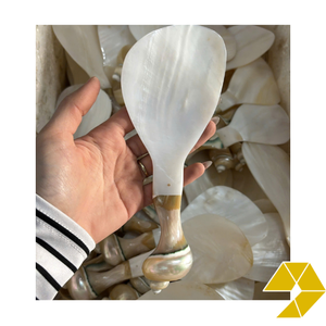 Handmade Seashell <b>Serving</b> <b>Spoon</b> for Beach Inspired Dining Coastal Home Decor Boutique Hotels Restaurants and Gift Stores - Product Image 5