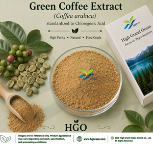 HGO Factory Direct Supply Green Coffee Bean/ Coffea arabica Extract Specification 50% Acide chlorogénique et moins de 2% Caféine - Product Image 1