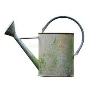 Arrosoir en métal rustique noir en fer galvanisé pour jardin avec bec verseur amovible et doubles poignées - Product Image 4