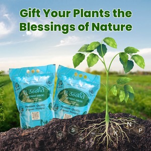 Organic NPK Fertilizer | Controlled Release Granules Manure-Based Agricultural <b>Soil</b> Conditioner 30-50% Yield Enhancement Water - Product Image 4