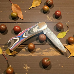 Cuchillo Plegable de Acero de Damasco Hecho a Mano, Mango de Madera Pakka, Cuchillo de Bolsillo OEM EDC para Caza, Camping y Actividades al Aire Libre, 58HRC, Garantía de 3 Años, Regalo - Product Image 2