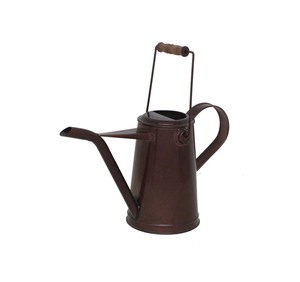 Arrosoir en métal d'inspiration rustique américaine pour plantes d'intérieur et décoration de jardin extérieur - Product Image 4
