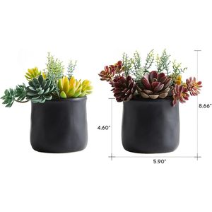 2 Grandi Piante Succulente Artificiali in Vasi di Ceramica Nera Opaca per Decorazione Scrivania, Camera da Letto, Soggiorno o Bagno - Product Image 3
