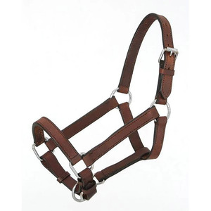 Licol en cuir robuste et élégant pour chevaux, avec boucles réglables et ferrures en laiton argenté, pour le maniement et le toilettage - Product Image 2