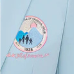 Blazer Jack and Jill para Mujer, Azul Claro, Corte Entallado, Chaqueta Elegante para Oficina, Estilo Formal, Blazer Elegante - Product Image 3