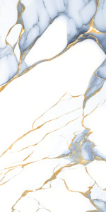 Vente directe d'usine : Carreaux de sol en granit 600 x 1200 mm super polis pour chambre à coucher. - Product Image 2