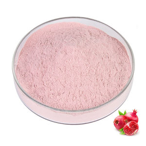 High Quality Food Grade Pomegranate Powder Finely Ground Fruit Powder For Beverage Baking Recipes Private Label OEM ODM Supply - Product Image 3
